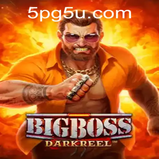 BigBoss: A Comprehensive Overview